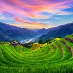 Affordable Sapa: How to Explore the Highlands on a Budget 19 1 5