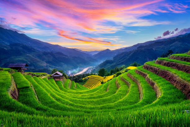 Affordable Sapa: How to Explore the Highlands on a Budget 19 1 5