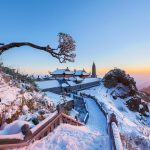 6 Must-Visit Spots to See Snow in Sapa This Winter: A Complete Guide 12 1 6
