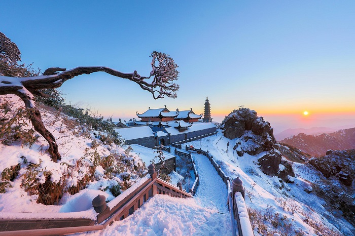 6 Must-Visit Spots to See Snow in Sapa This Winter: A Complete Guide 12 1 6