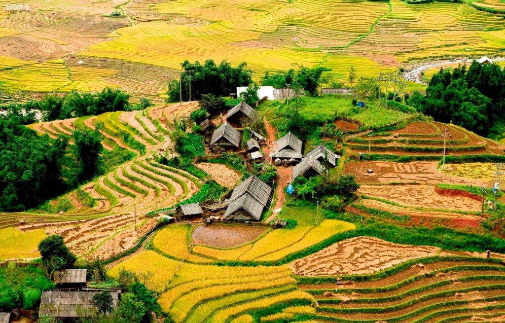 The Mirror Season in Sapa: 10+ Rice Terraces You Can’t Miss in May 2025! 1 1 7