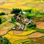 The Mirror Season in Sapa: 10+ Rice Terraces You Can’t Miss in May 2025! 8 1 7