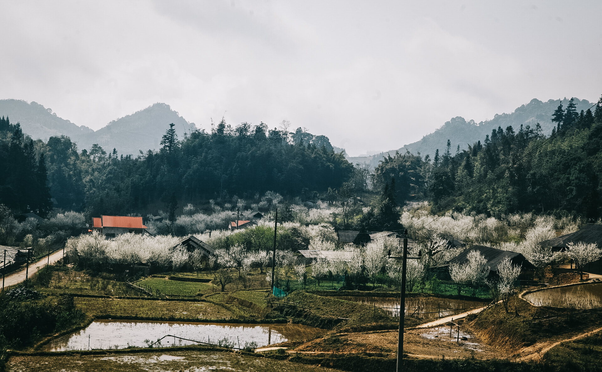 Affordable Sapa: How to Explore the Highlands on a Budget 9 10 4