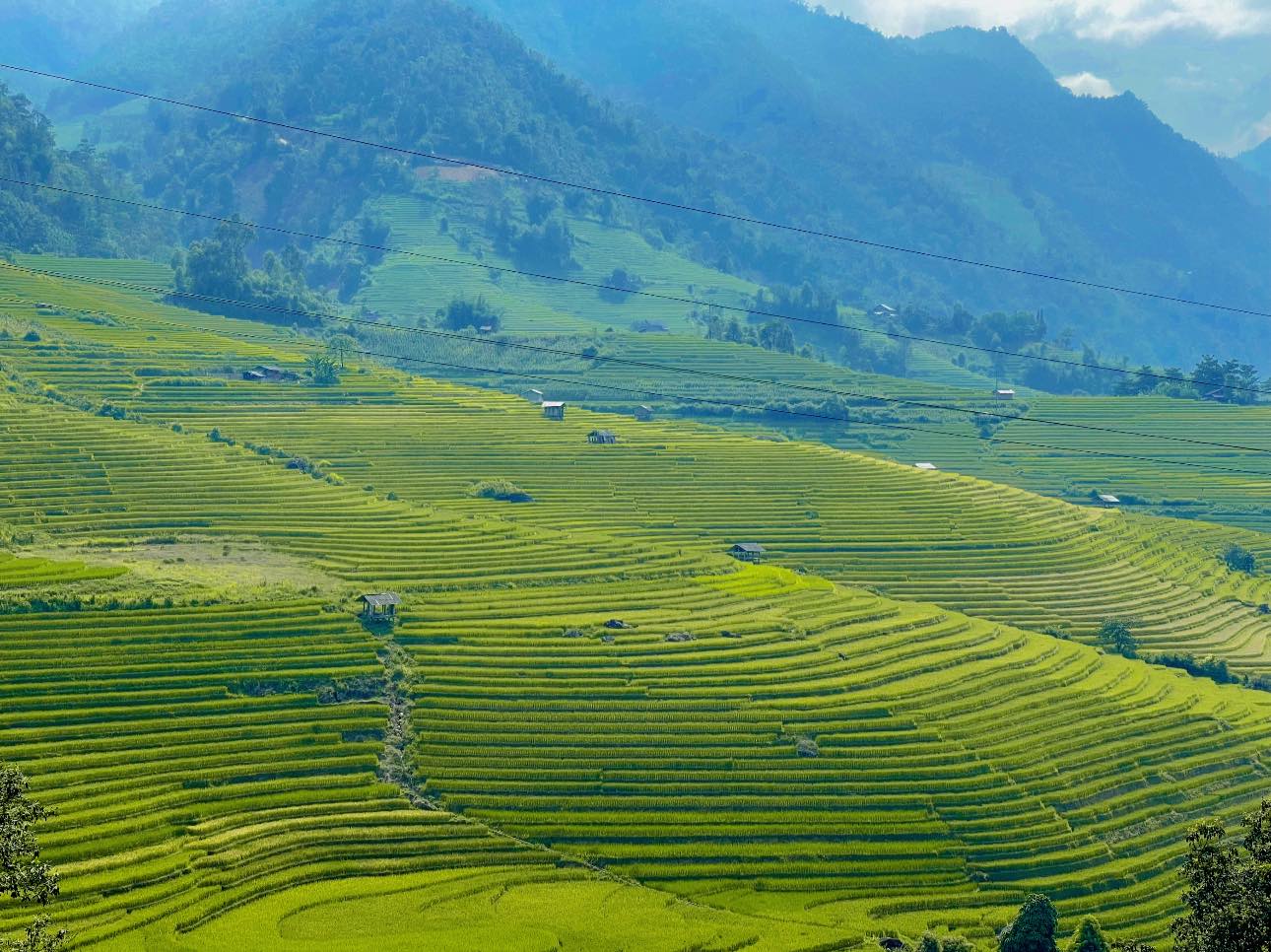 Top 10 Secret Spots In Sapa: Hidden Treasures Away from the Crowds 7 12
