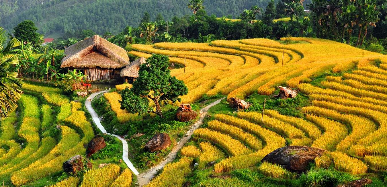 The Mirror Season in Sapa: 10+ Rice Terraces You Can’t Miss in May 2025! 2 2 6