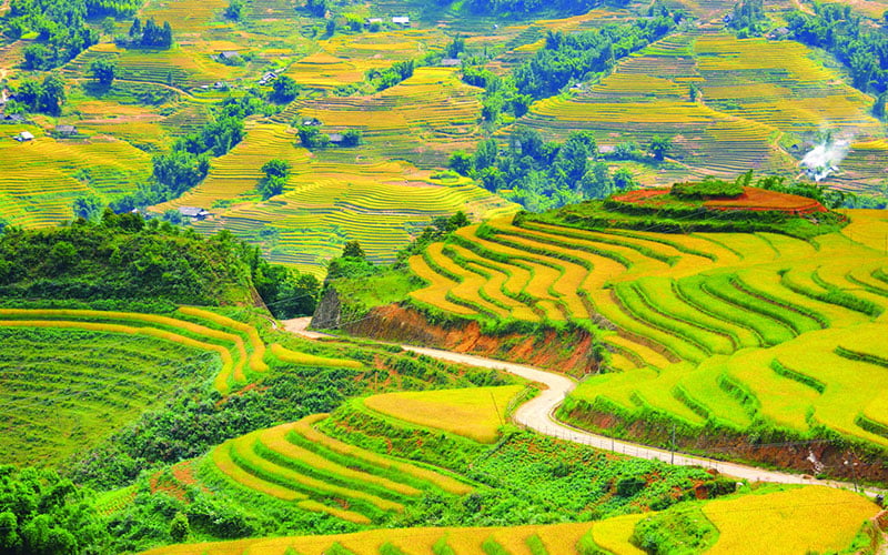 The Mirror Season in Sapa: 10+ Rice Terraces You Can’t Miss in May 2025! 3 3 12