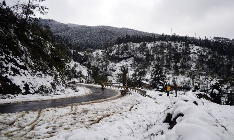 6 Must-Visit Spots to See Snow in Sapa This Winter: A Complete Guide 4 4 3