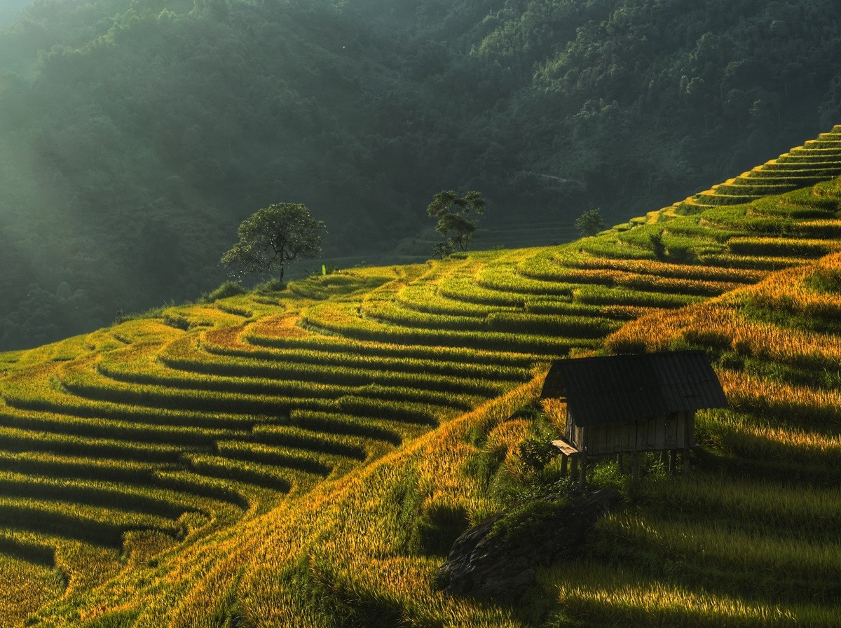 The Mirror Season in Sapa: 10+ Rice Terraces You Can’t Miss in May 2025! 5 5 7