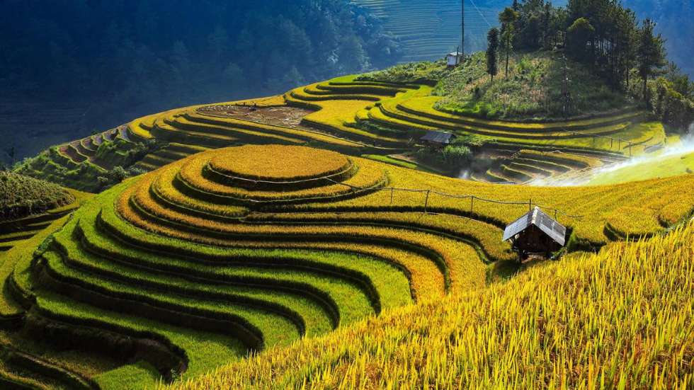 16 Vietnamese Folktales Showcasing Northern Vietnam’s Cultural Soul 8 7 2