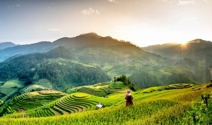 Beyond the Fields: Harvest Time in North Vietnam – Culture, Rice, and Connection 13 8