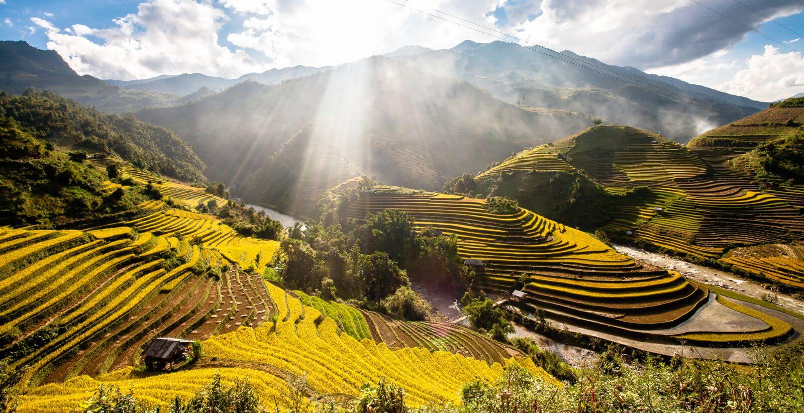 The Mirror Season in Sapa: 10+ Rice Terraces You Can’t Miss in May 2025! 9 9 6