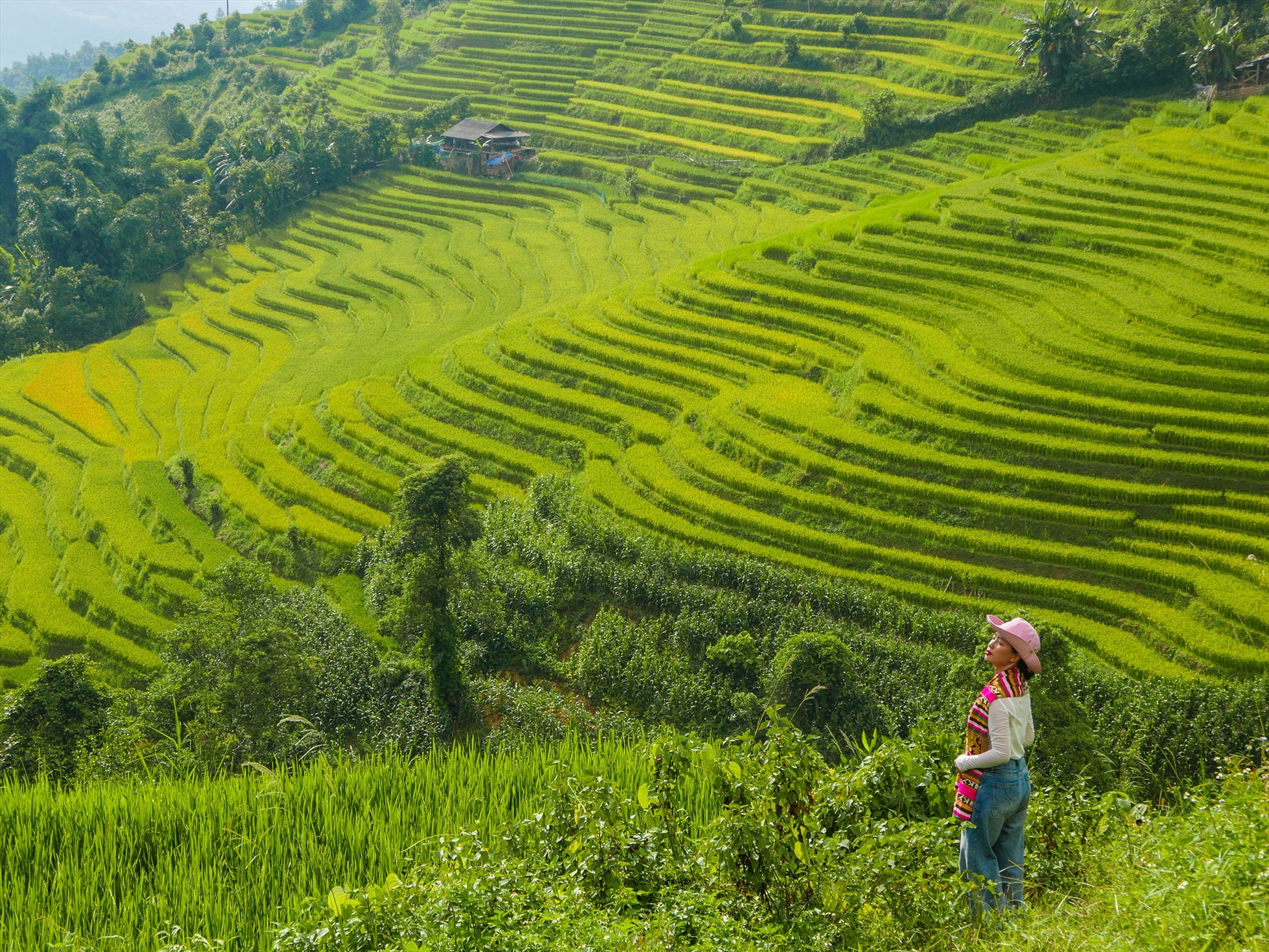Beyond the Fields: Harvest Time in North Vietnam – Culture, Rice, and Connection 11 Sa Pa Nam Cang Mua L