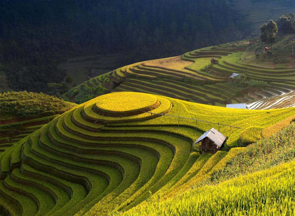 Discover 12 Best Photo Spots on the Ha Giang Loop – With Map & 15+ Photography Tips 55 dia diem dep ha giang