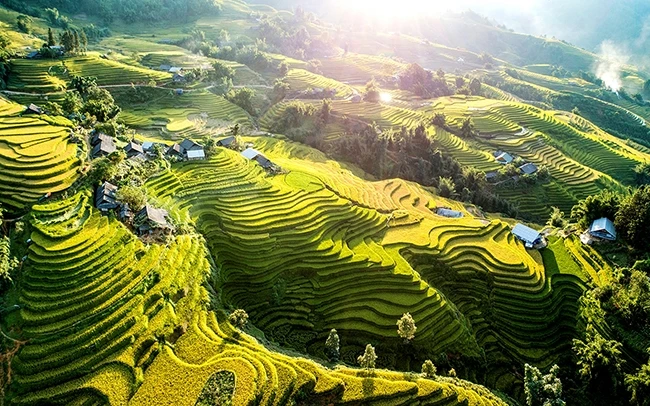 Beyond the Fields: Harvest Time in North Vietnam – Culture, Rice, and Connection 2 image