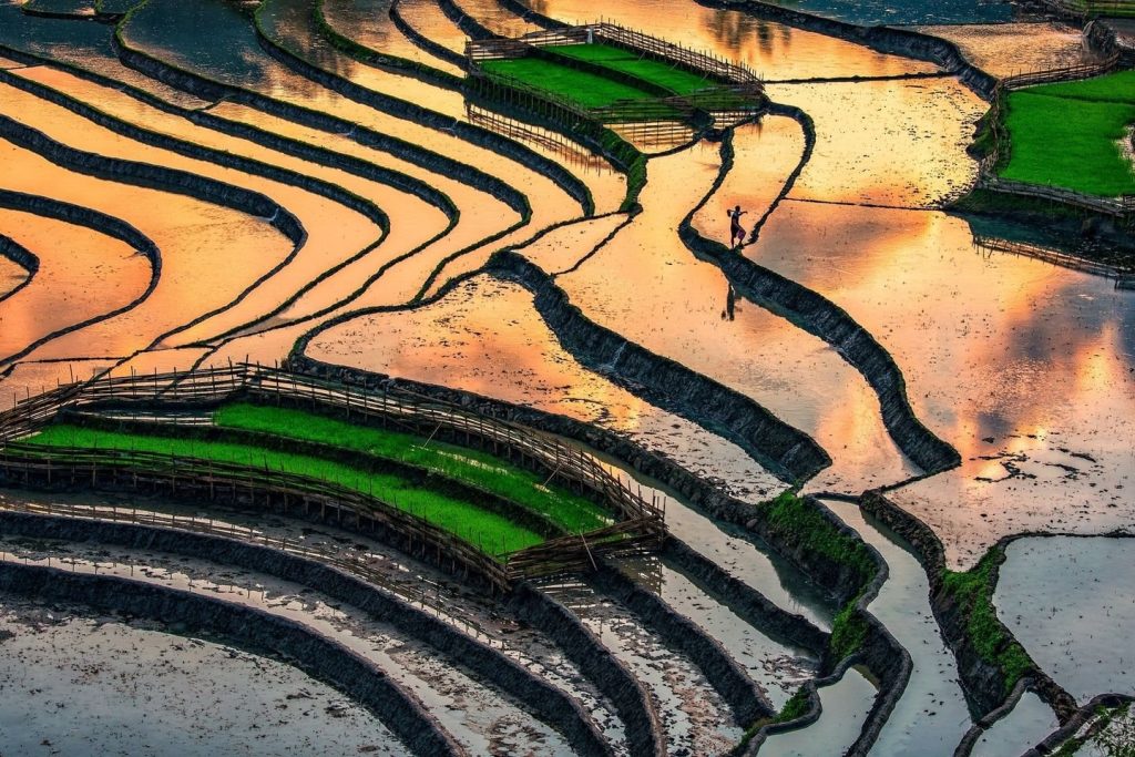 What License Do You Need to Ride the Ha Giang Loop in 2025? – Complete Guide for Travelers 72 kinh nghiem di ha giang mua nuoc do kham pha ve dep khac cua ha giang 03 1642901095