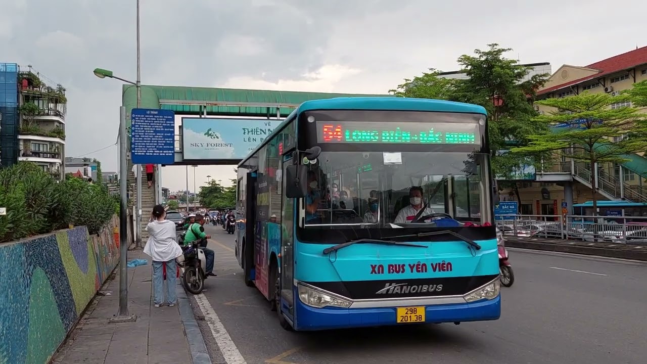 Complete Travel Guide to Vietnam's Lim Festival 2025 6