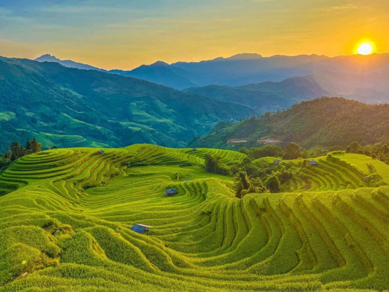 Beyond the Fields: Harvest Time in North Vietnam – Culture, Rice, and Connection 14 ruong bac thang xa nam khoa ha giang 1